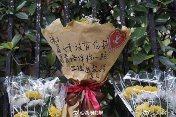 看球app电脑免费版